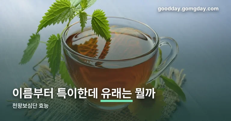 천왕보심단 효능 정리 썸네일