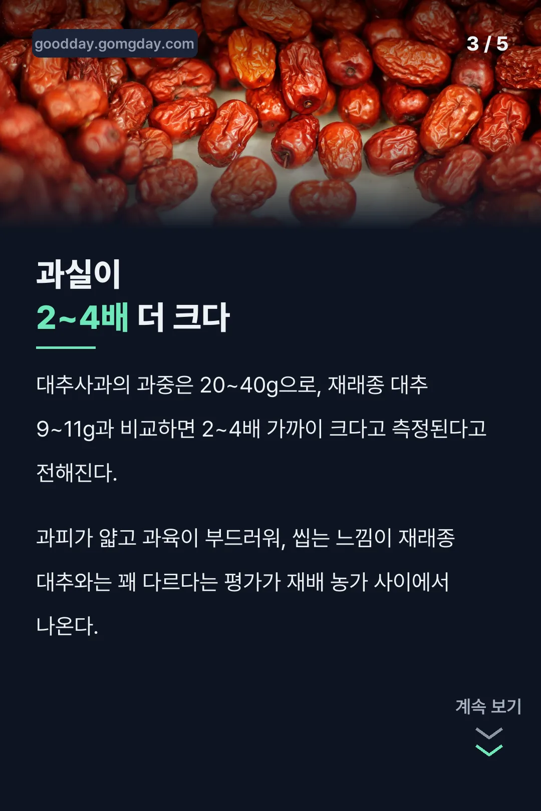대추사과 과실 2~4배 큰 이유