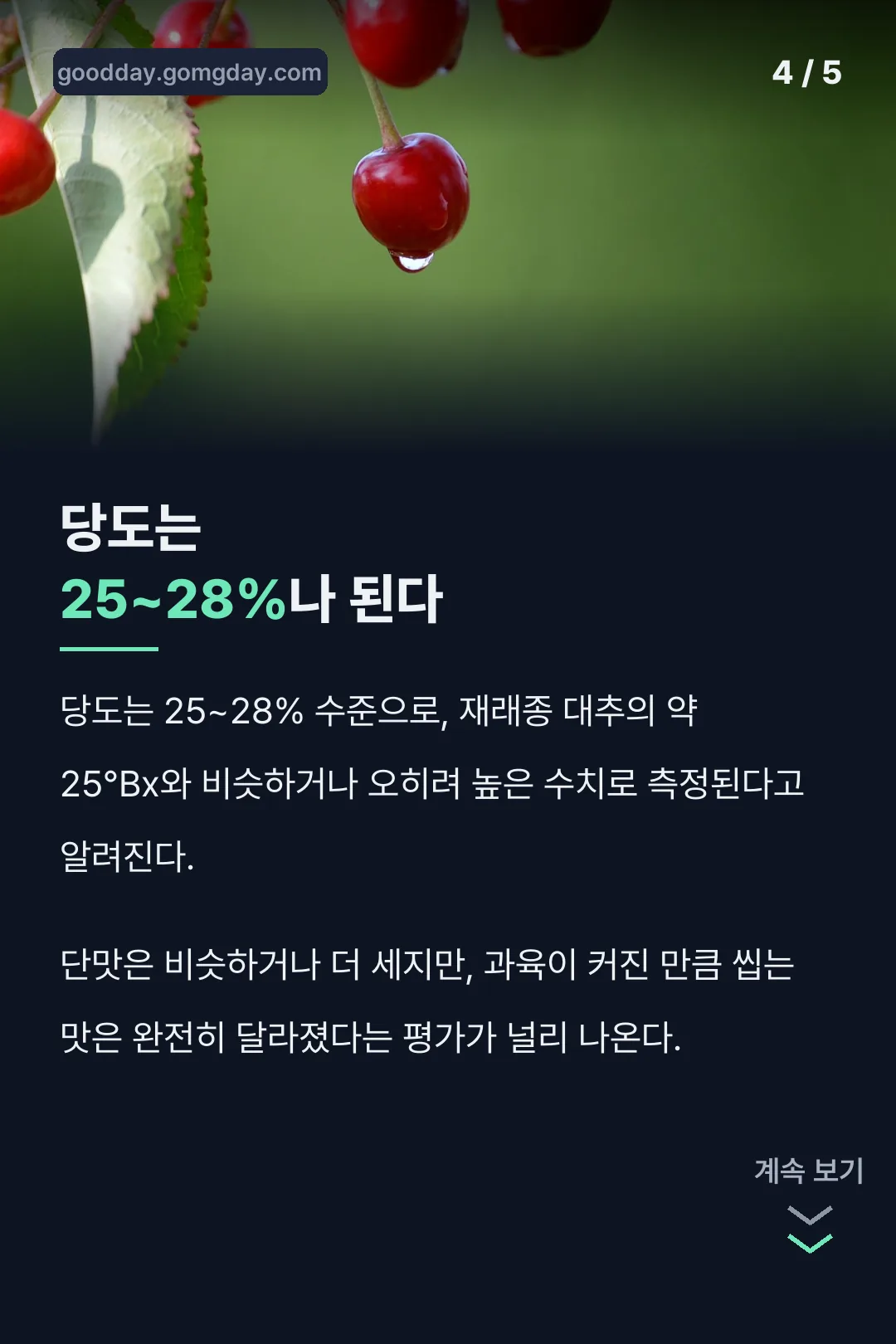 대추사과 당도 25~28%