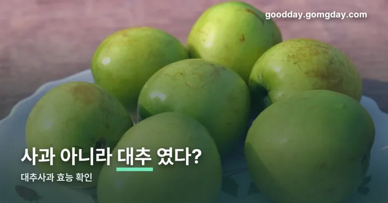 대추사과 효능 정리 썸네일