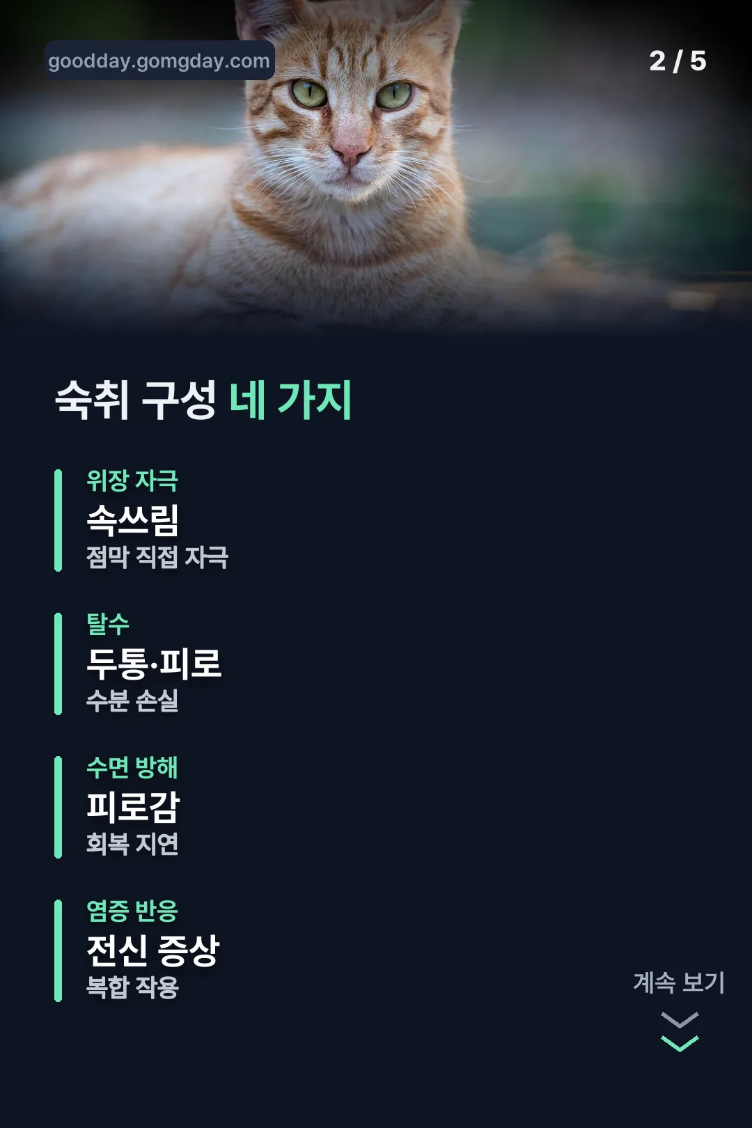 숙취 구성 네 가지표