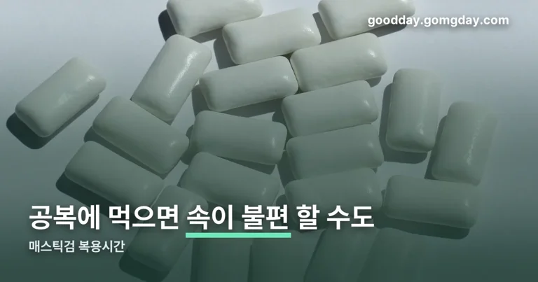 매스틱검 복용시간 정리 썸네일