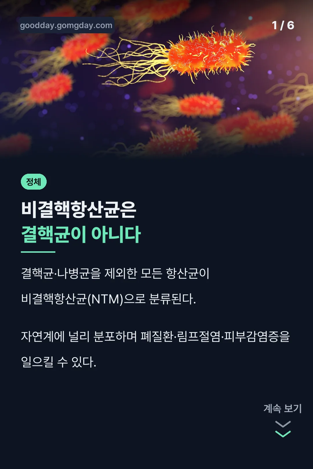 비결핵항산균 정체 설명