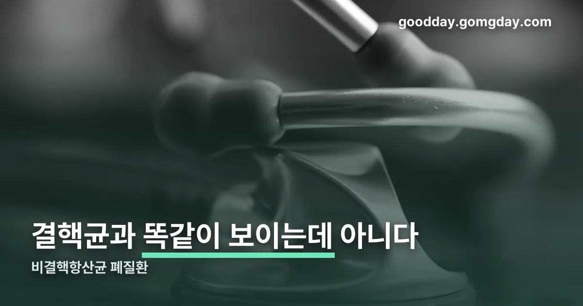 비결핵항산균 폐질환 정리 썸네일