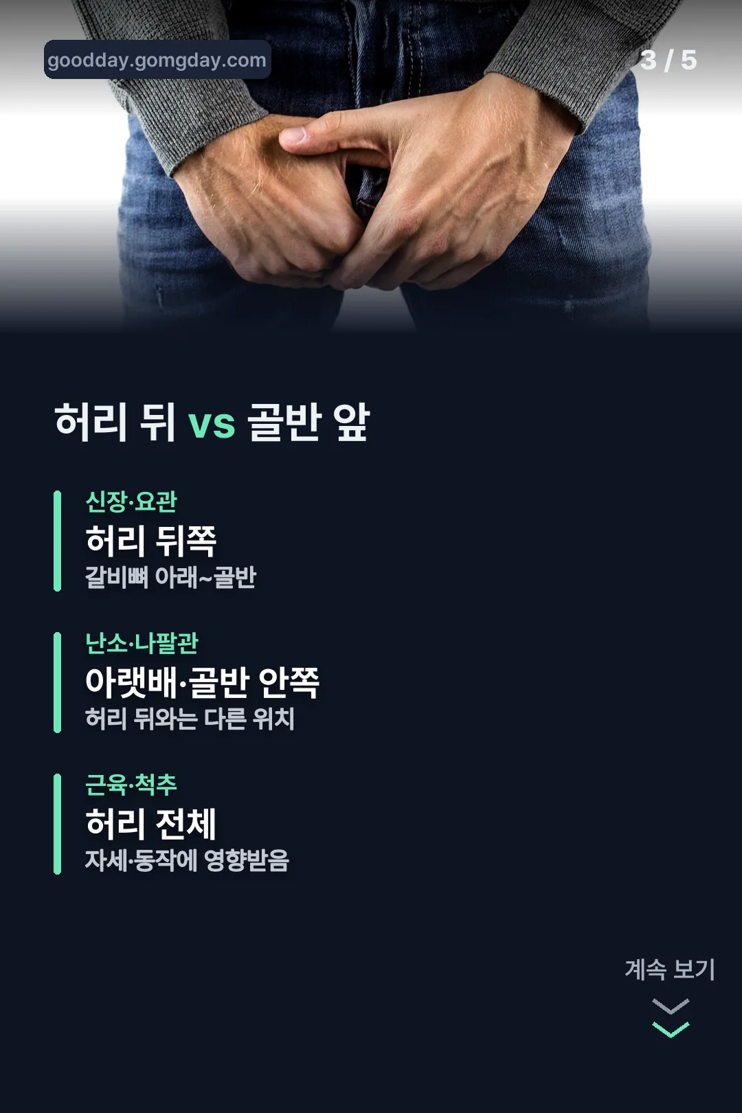 허리 뒤와 골반 앞 장기 위치 비교