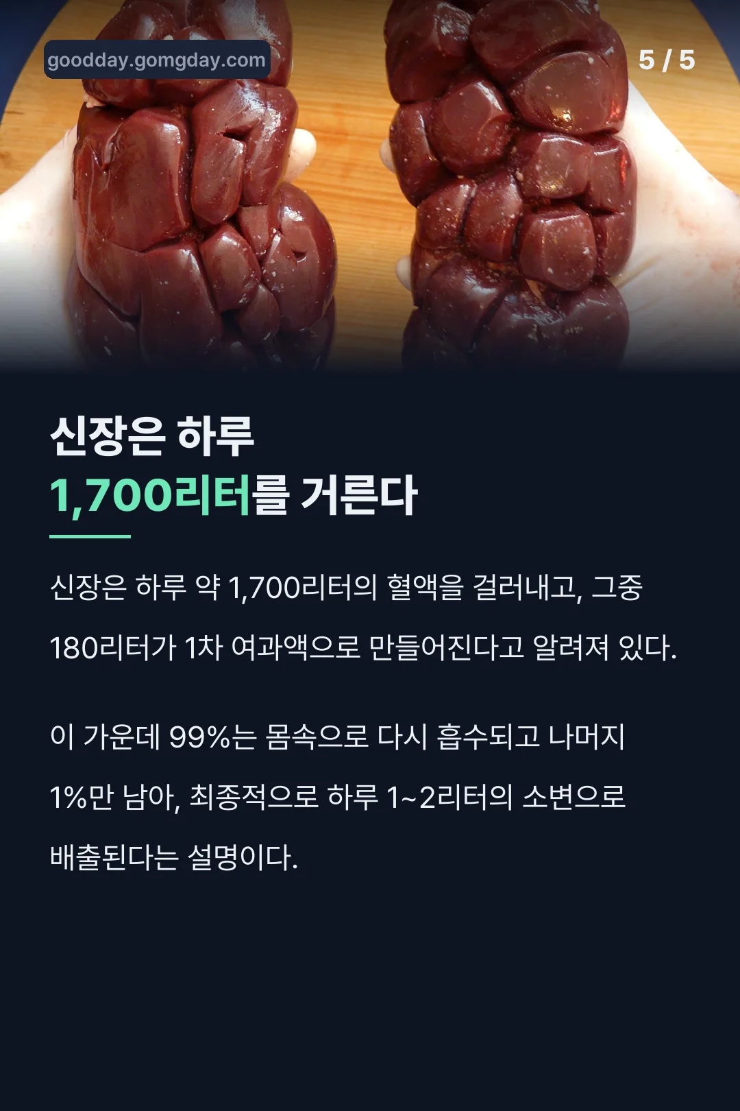 신장이 하루 1,700리터 혈액을 거른다는 사실