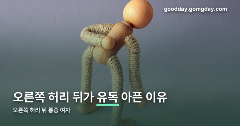 오른쪽 허리 뒤 통증 여자 정리 썸네일