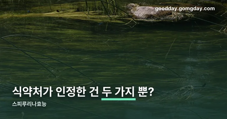 스피루리나효능 정리 썸네일