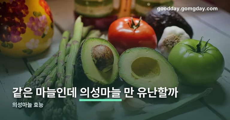 의성마늘 효능 정리 썸네일