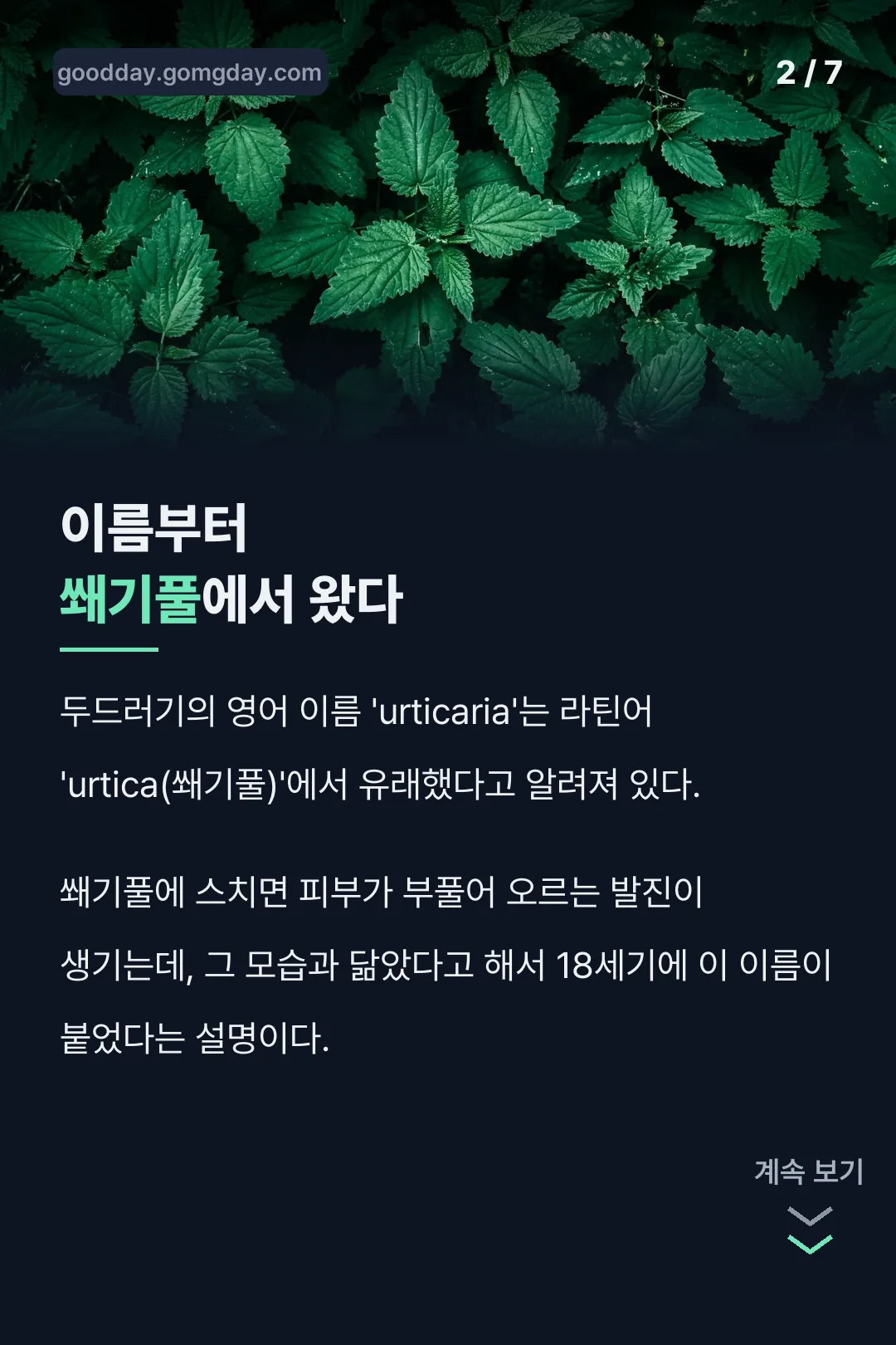 두드러기 쐐기풀 어원 유래