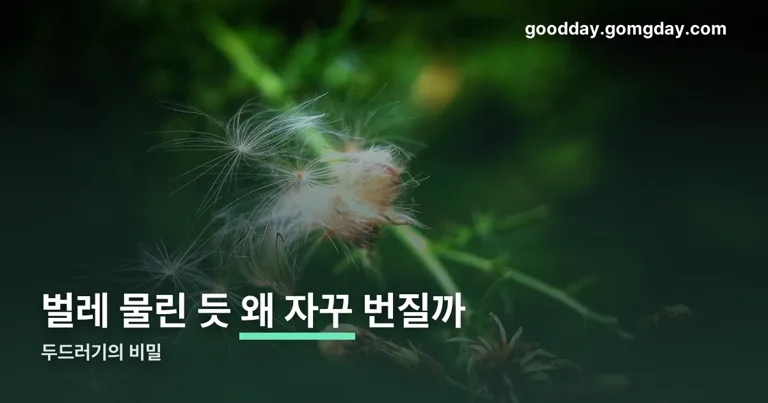두드러기 정리 썸네일