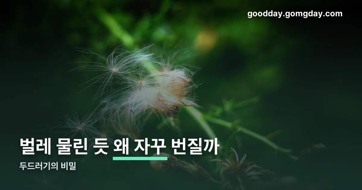 두드러기 정리 썸네일