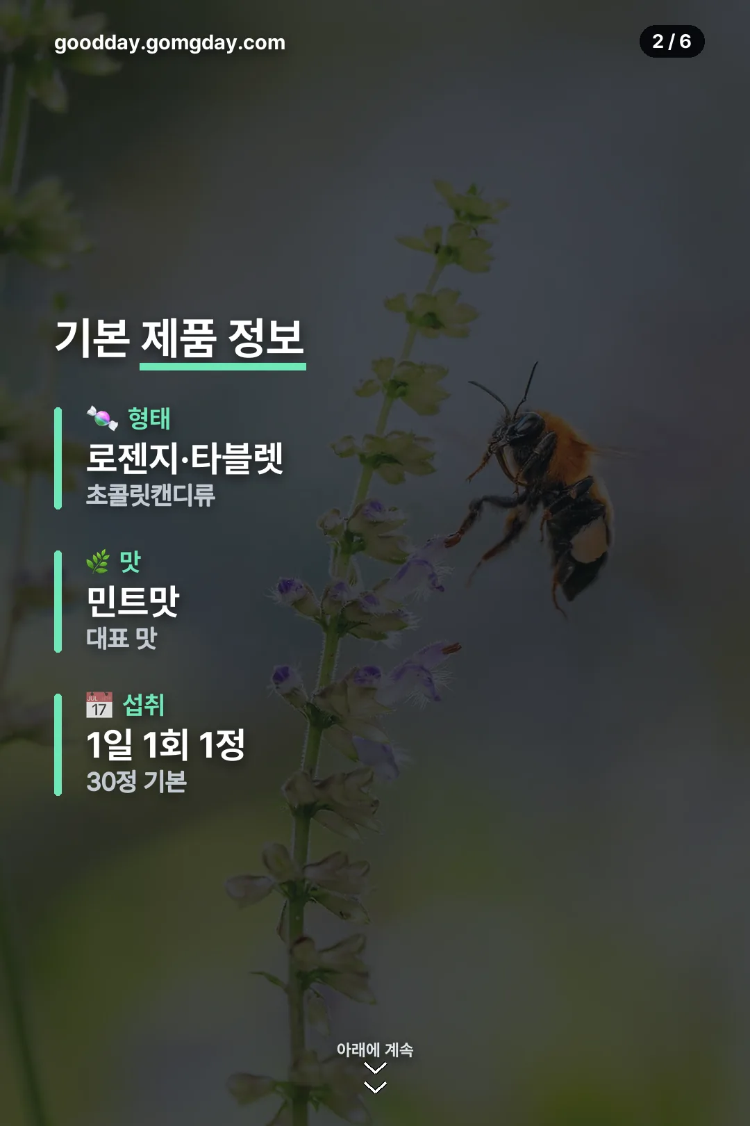 기본 제품 정보