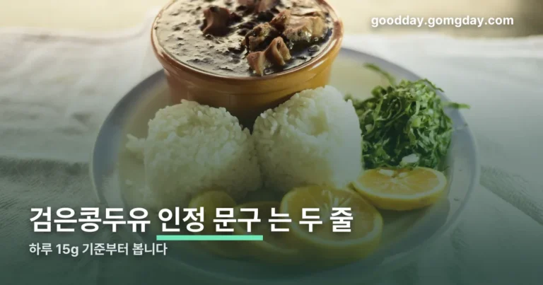 검은콩두유 효능 정리 썸네일