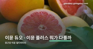 종근당 이뮨 멀티비타민 정리 썸네일
