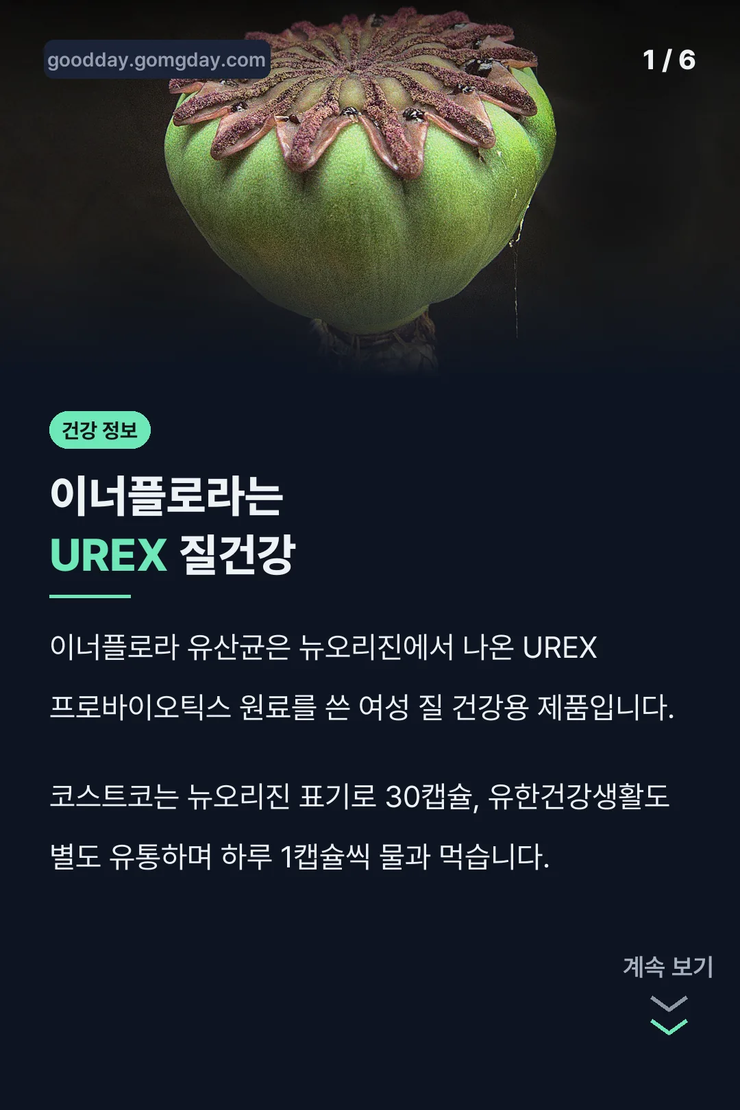 이너플로라는 UREX 질건강
