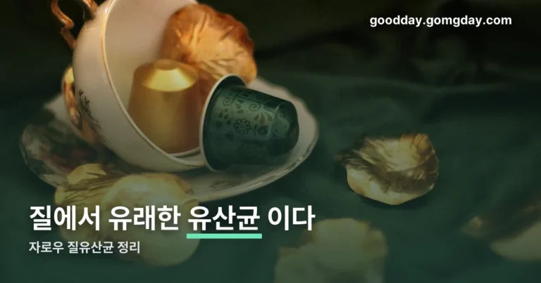 자로우 질유산균 정리 썸네일