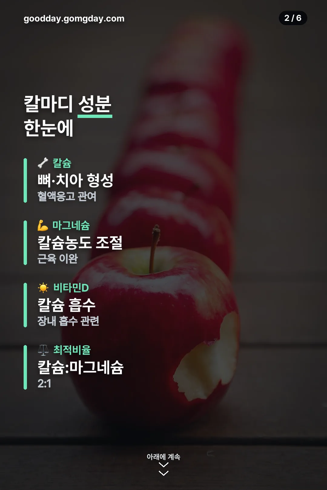 성분 한눈에 정리