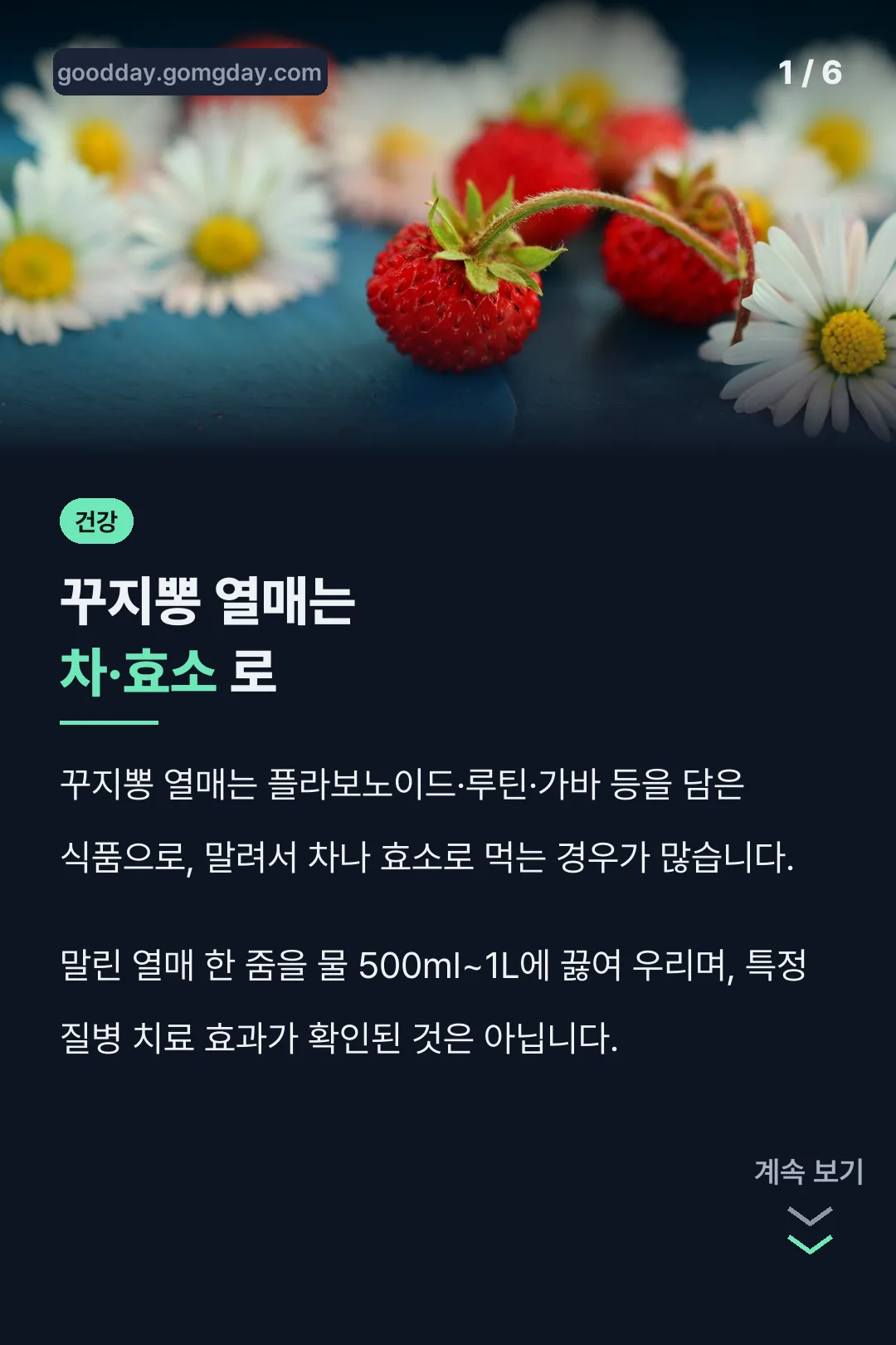꾸지뽕 열매는 차·효소 로