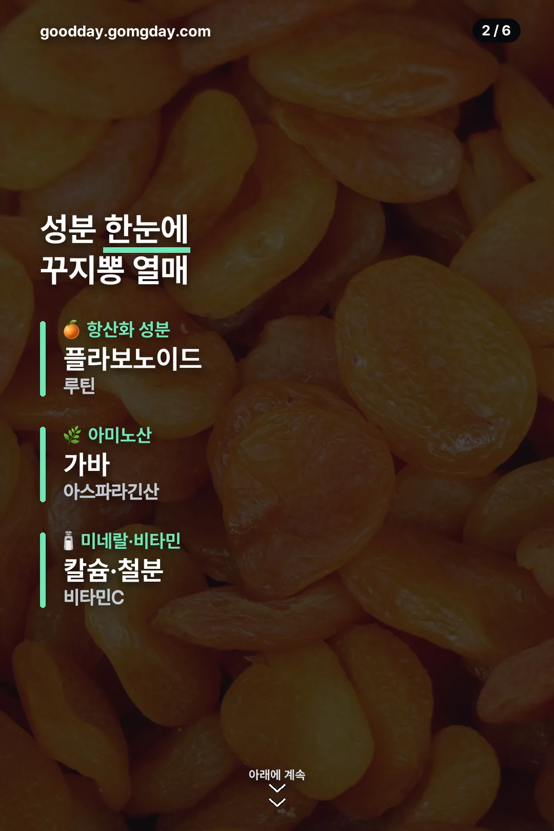 꾸지뽕 열매 성분 한눈에 보기