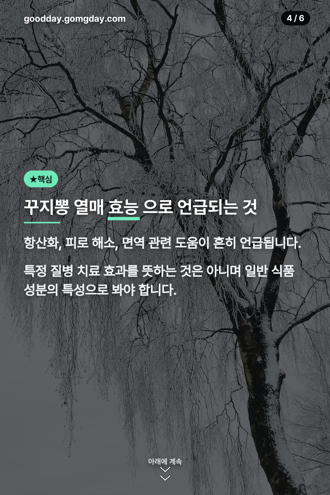 꾸지뽕 열매 효능으로 언급되는 것