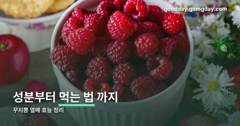 꾸지뽕열매효능 정리 썸네일