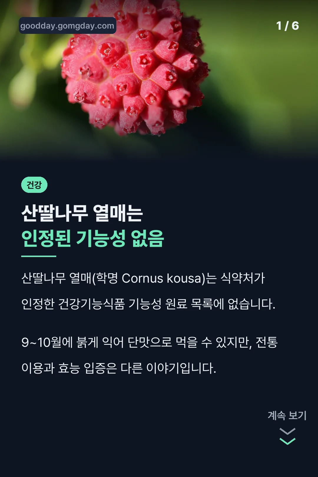 산딸나무 열매는 인정된 기능성 없음