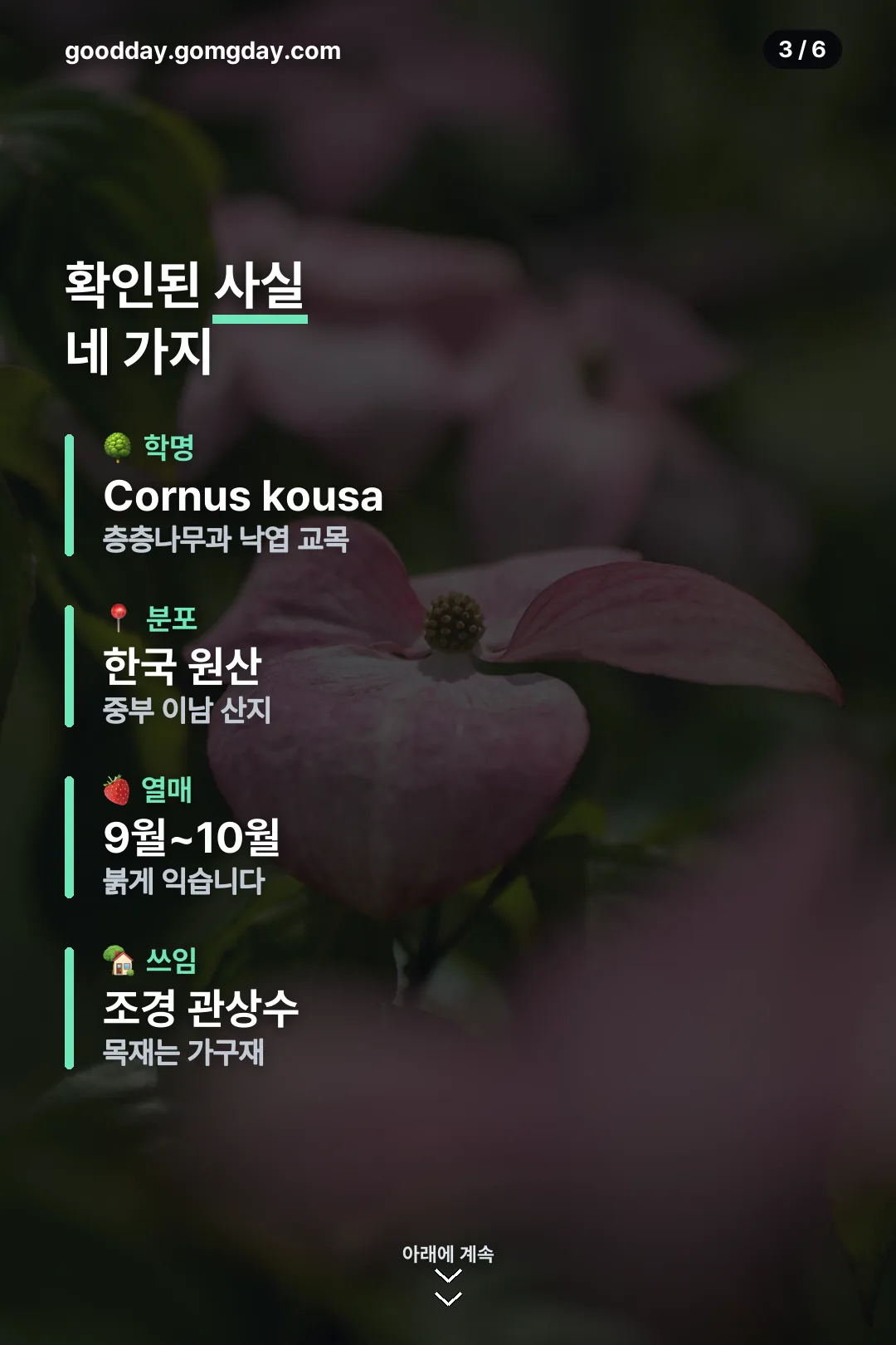 확인된 사실 네 가지