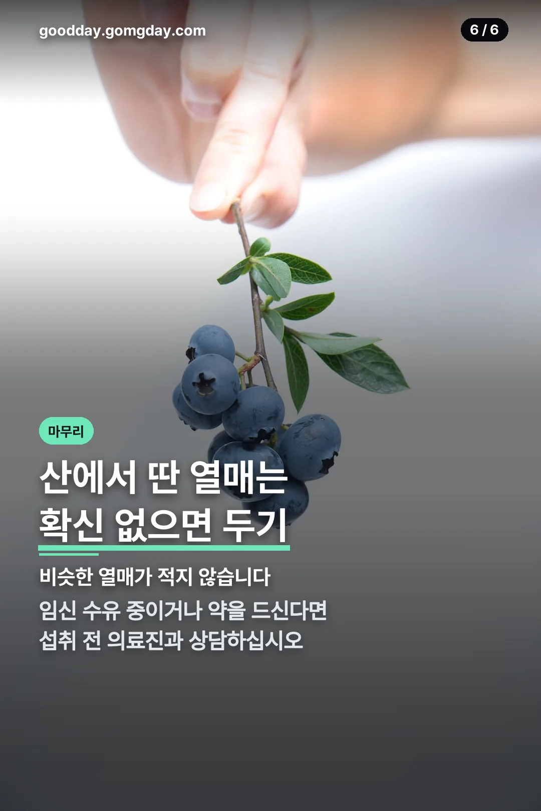 채취 주의 마무리
