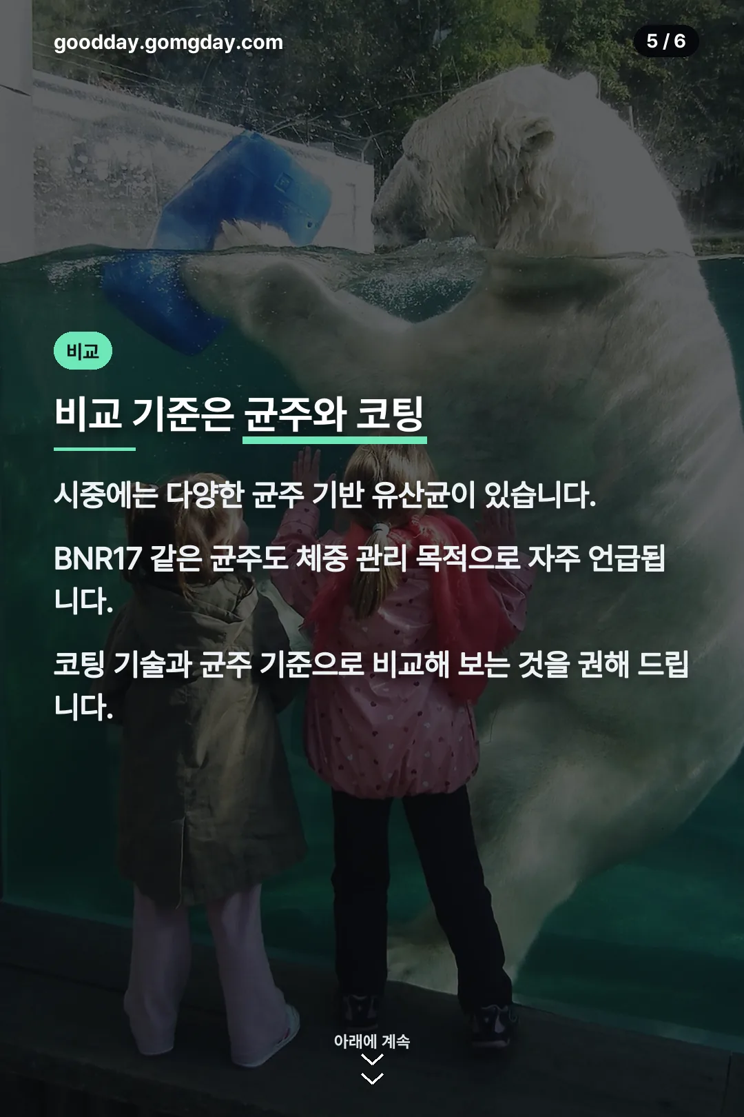 비교 기준 안내