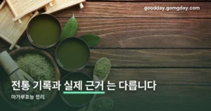 마가루효능 정리 썸네일
