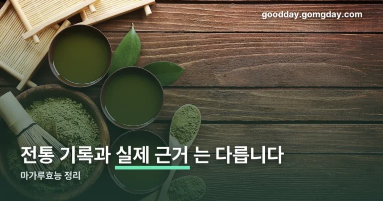 마가루효능 정리 썸네일