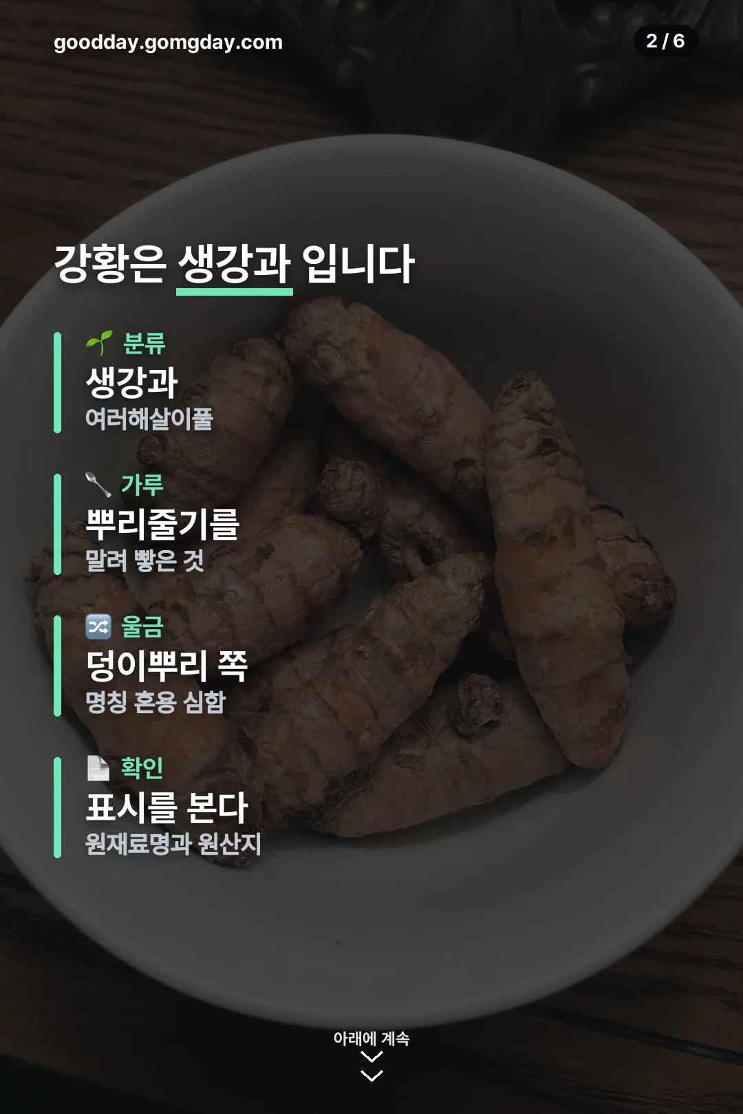 강황 정체 정리