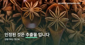 강황의효능가루먹는법 정리 썸네일