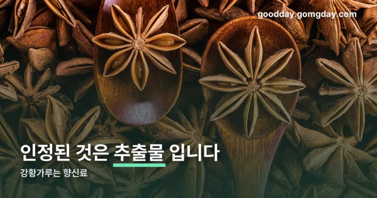 강황의효능가루먹는법 정리 썸네일