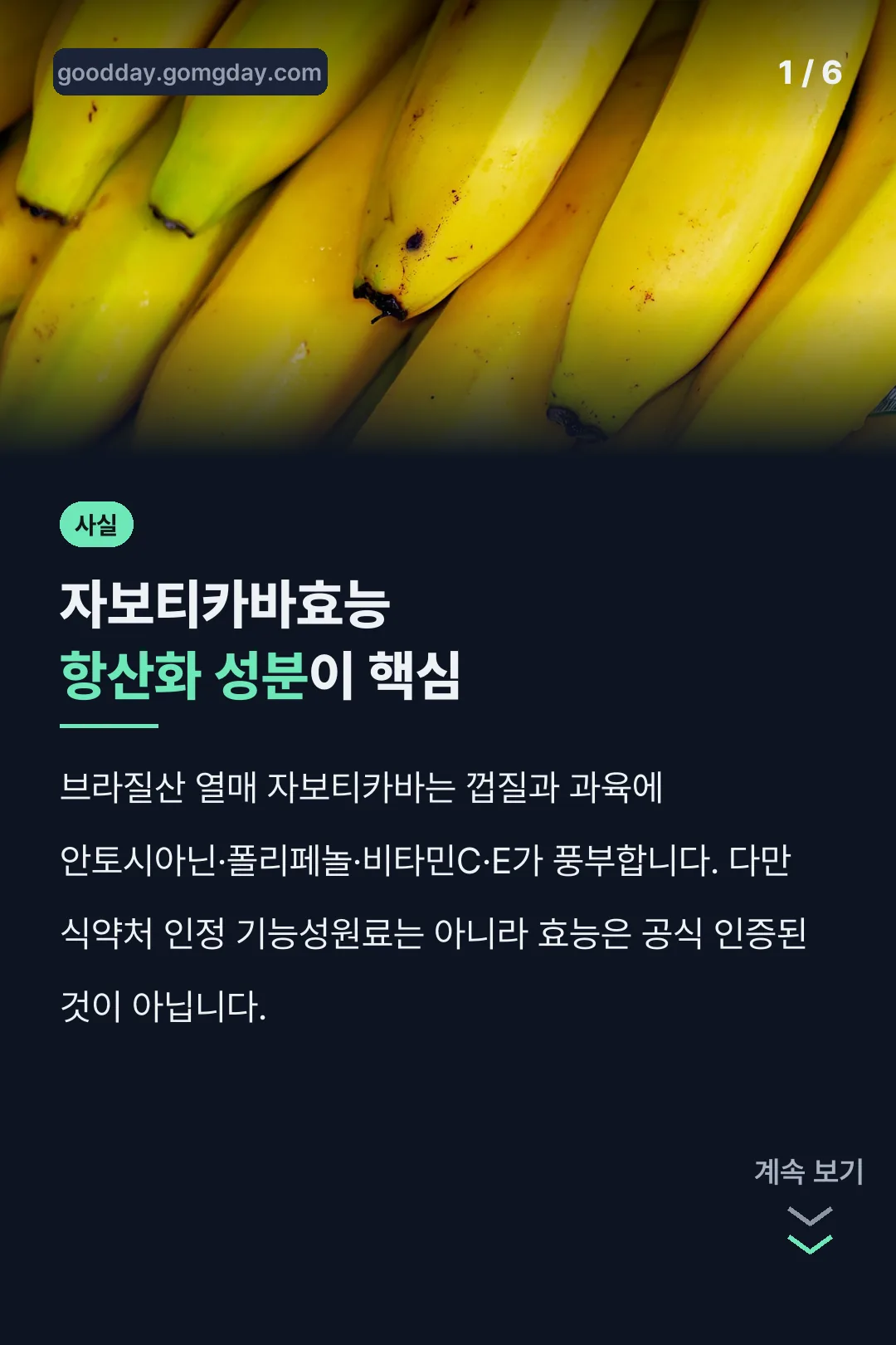 자보티카바효능 핵심 성분