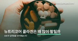 뉴트리코어 콜라겐 정리 썸네일