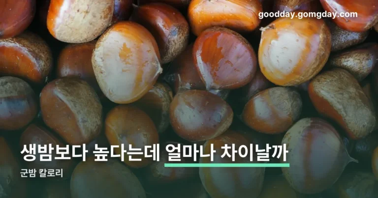 군밤 칼로리 정리 썸네일