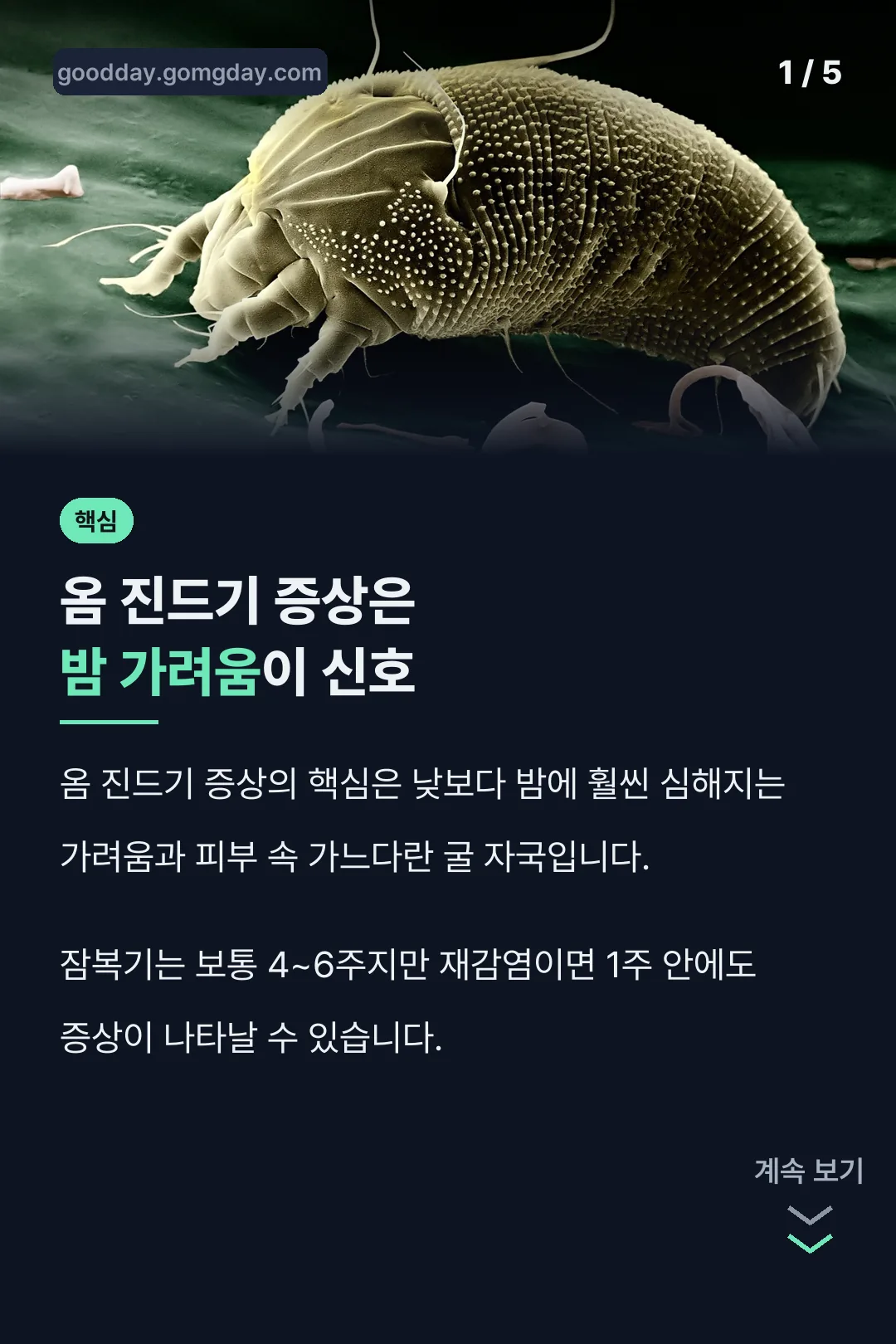 옴 진드기 증상 핵심 정리
