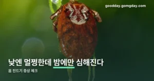 옴 진드기 증상 정리 썸네일